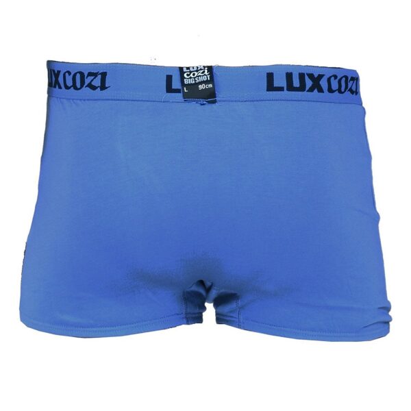 BIGSHOT Mens Trunks 4