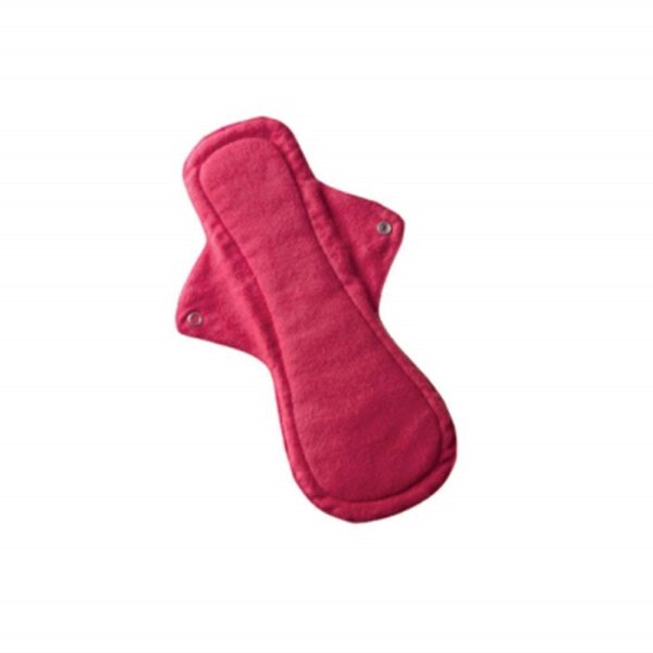 Eco Femme Night Pads 1