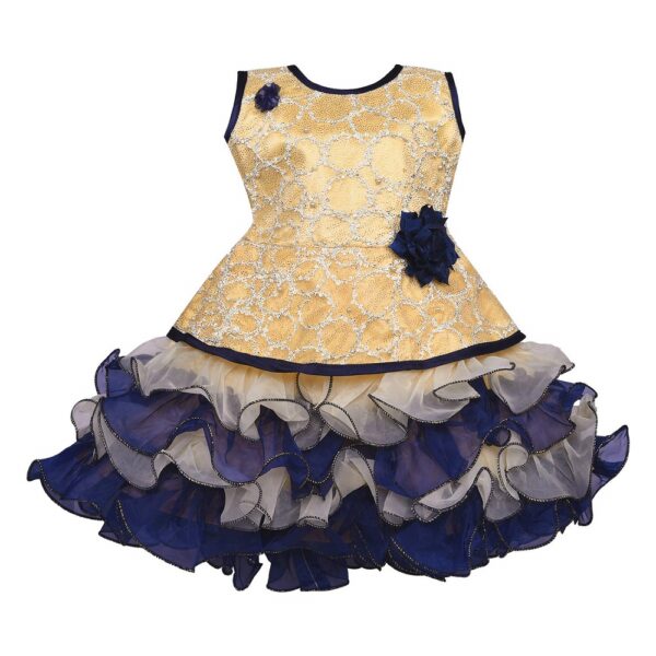 Baby Girls Party Wear Frock Dress