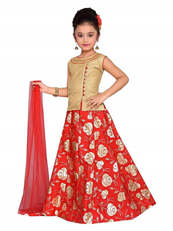 Brocade Blend Lehenga Choli 2