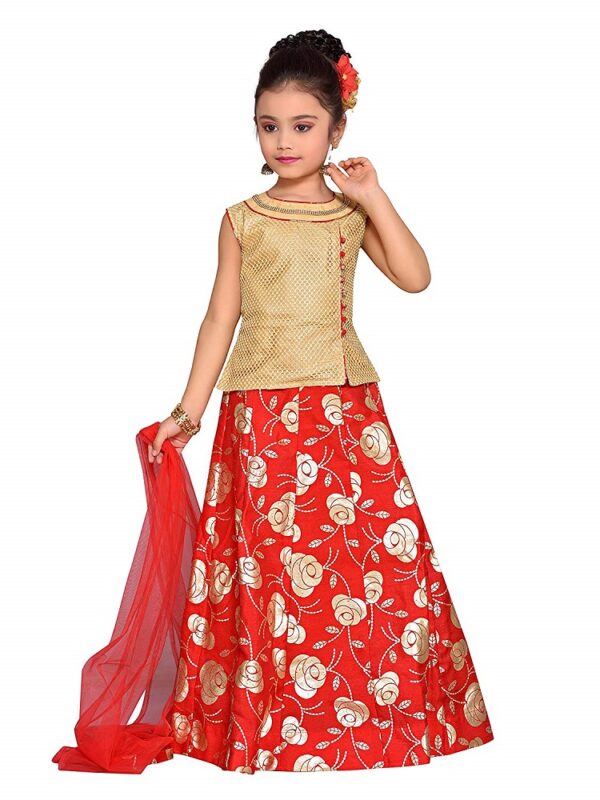 Brocade Blend Lehenga Choli