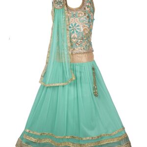 Net Lehenga Choli - My Lil Princess