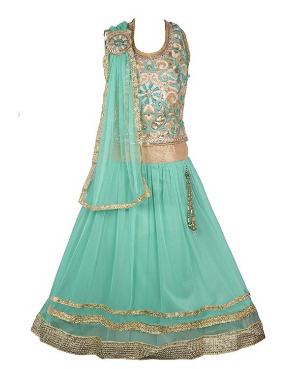 Net Lehenga Choli - My Lil Princess