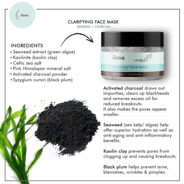 Ilana Organics Clarifying Clay Mask 1