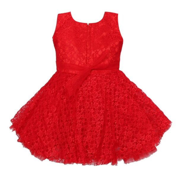 Birthday Net Frock Dress 1