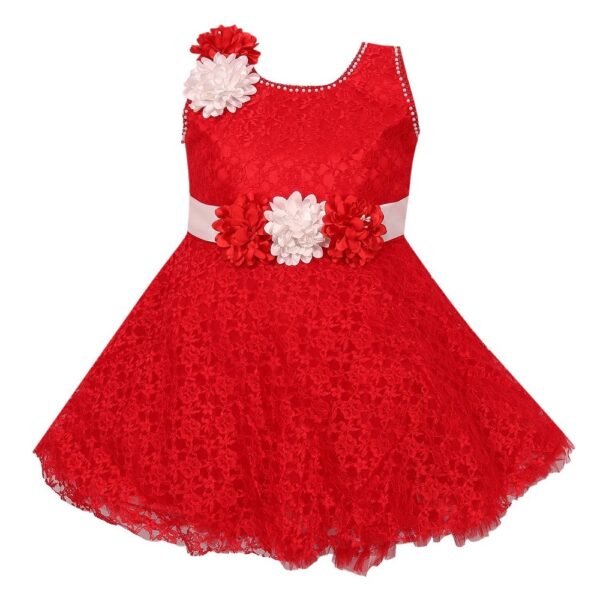 Birthday Net Frock Dress