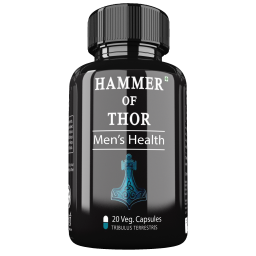 hammer of thor